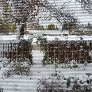 Meet your Posher, Marjorie